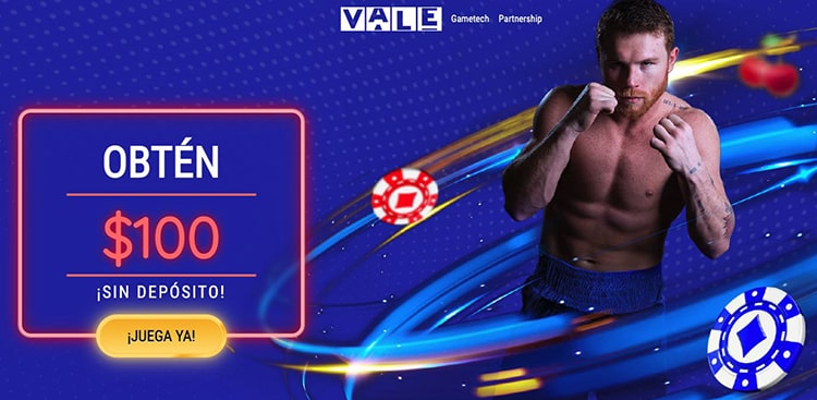 Casino Vale, oyuncuların güvenliğini ciddiye alır ve kişisel bilgilerinizi